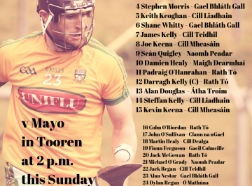 Meath v Mayo – Senior Hurling Team